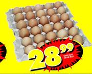 Large Eggs 30 Per Tray