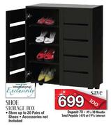 Shoe Storage Box