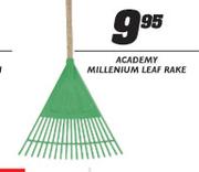 Academy Millenium Leaf Rake