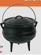 Fireside Iron 1/4 Potjie 
