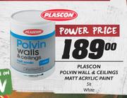 Plascon Polvin Wall & Ceilings Matt Acrylic White Paint-5ltr 