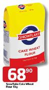 Snowflake Cake Wheat Flour-10kg
