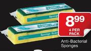 Anti-Bacterial Sponges-4 Per Pack