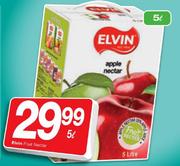 Elvin Fruit Nectar-5Ltr