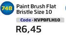 Paint Brush Flat Bristle Size 10(KVPBFLH10)-Each