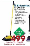 Electrolux Steam Mop