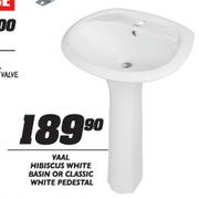 Vaal Hibiscus White Basin or Classic White Pedestal