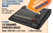 N-Dixon 12 Channel Powered Mixer