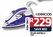 Kenwood Steam And Spray Iron