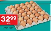 Large Eggs-30's