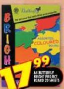 A4 Butterfly Bright Project Sheets-20's