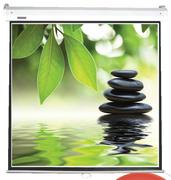 Parrot-Screem Pull Down 1270x1270mm(PPSC0252)-Each