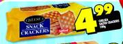 Chelsea Salted Crackers-100gm