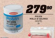 Polvin Walls & Ceilings-5l