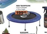 Mini Trampoline