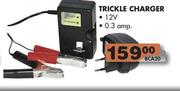 Trickle Charger 12V 0.3A