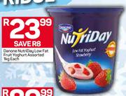 Danone Nutriday Low Fat Fruit Yoghurt-1kg Each
