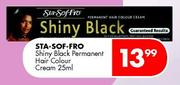 Sta-Sof-Fro Shiny Black Permanent Hair Colour Cream-25ml