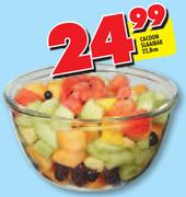 Cacoon Slaa/Bax-22.8cm