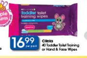 Clicks Toddler Toilet Training Or Hand & Face Wipes-40's