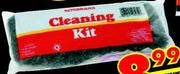Ritebrand Wire Pot Scourers-3's