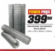 Mnumsane Galvanized Weld Mesh-Each 