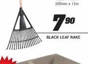 Black Leaf Rake-Each