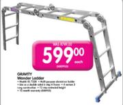 Gravity Wonder Ladder