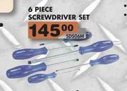 Screwdriver Set-6 Piece