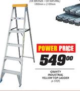Gravity Industrial Yellow Top Ladder-6 Step