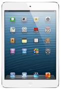 Apple Ipad Mini WiFi+Cellular 16GB