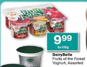 DairyBelle Fruits of the Forest Yoghurt, Assorted-6 x 100g