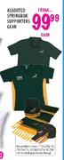 Assorted Springbok Supporters Gear-Each