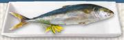 Whole Yellowtail-100g