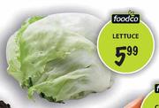 Foodco Lettuce