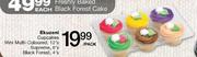 Ekuzeni Cupcakes Mini Multi-Coloured-12's Per Pack