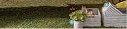 Plant Pots-Each