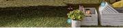 Whitewashed Shutter Crates(Large)