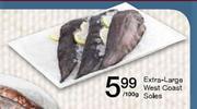 Extra Large West Coast Soles-100g