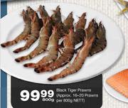 Black Tiger Prawns-800gm