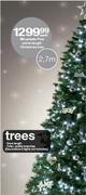 Mountain Pine Extra Length Christmas Tree-Each