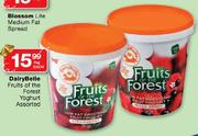 DairyBelle Fruits of the Forest Yoghurt-1kg Each