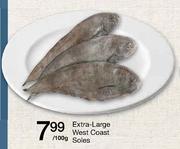 Extra-Large West Coast Soles-100gm