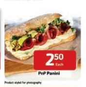 PnP Panini-Each 