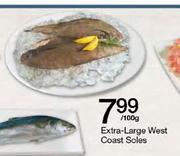 Extra Large West Coast Soles-100g