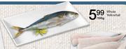 Whole Yellowtail-100g