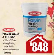 Plascon Polvin Walls & Ceilings-20L