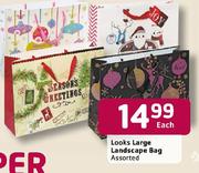 Looks Large Landscape Bag Assorted Each