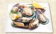 New Zealand Half-Shell Mussels-500g