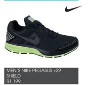 Mens Nike Pegasus +29 Shield